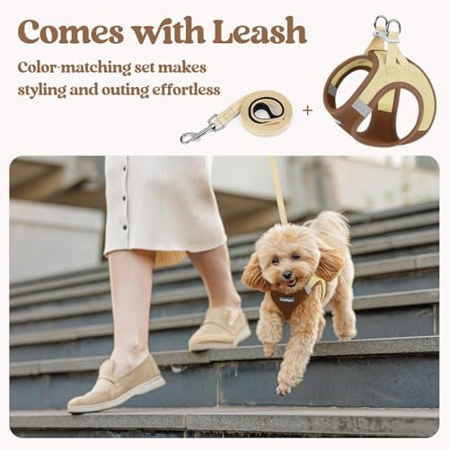 Image of rabbitgoo Dog Harness Small Sized and Leash Set, Step-in Puppy Pet Vest