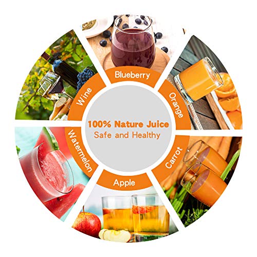 4.75 Gallon Fruit Wine Press - Image 4