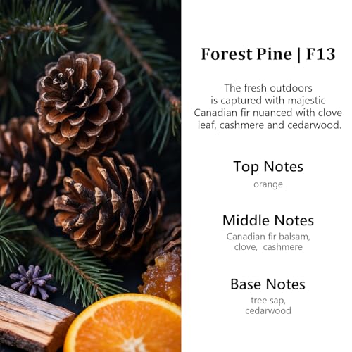 Image of HoogaLife Car Air Freshener Diffuser 2 Pack Hanging Air Freshener Diffuser - Forest Pine Fragrance Oil Air D iffuser for Car, 45+ Days Long Lasting Fragrance Made in USA (F13)