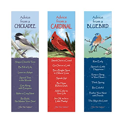 Your True Nature Advice From Nature 3 Bookmark Birds Set, Laminated With Glossy Finish, Printed On Recycled Paper - Cardinal, Chickadee, Bluebird (Ambm-Birds) #TOP3