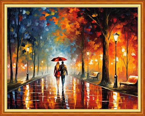 Image of DMCVIVR Stamped Cross Stitch Kits for Beginners Adults Needlepoint Kits for Beginners Embroidery Kits for Adults Crossstitch Kit for Beginners 11CT-Romantic Night Scenery 16x20 inchs