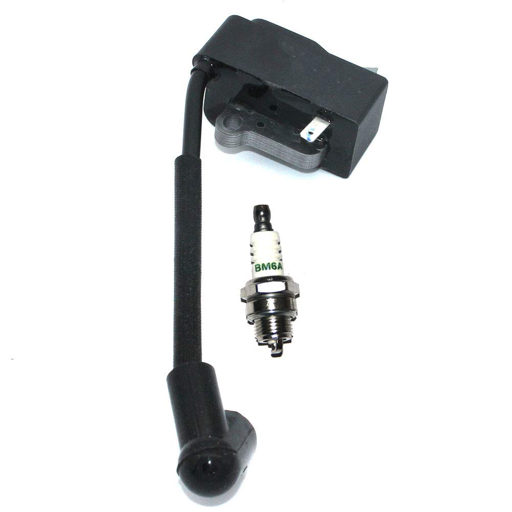 Amazon.com: Igniton Module with Spark Plug BM6A for