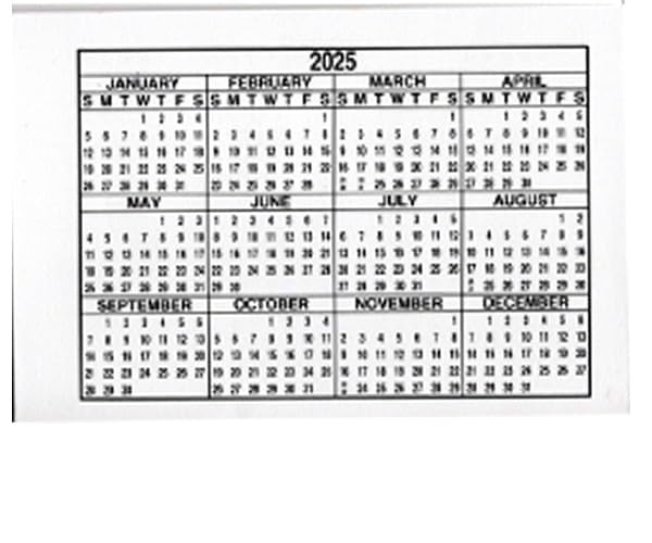 WINGS Craft & Fundraising Supply RFID Debit Credit Card Holder ATM Case, Wildlife & Animals (Zebra with 2 Debit Registers)4