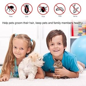 Flea-Comb-For-Dogs-Flea-Comb-For-Cats-Metal-Lice-Comb-Cat-Comb-Dog-Combs-Deshedding-Dematting-Dandruff-Comb-Removal-Tear-Stain-Tool-shedding-Brush-Pet-Grooming-Comb-Kit-6pack-Hanlisee-Multicolor - Cucciolini Doodles   Flea-Comb-For-Dogs-Flea-Comb-For-Cats-Metal-Lice-Comb-Cat-Comb-Dog-Combs-Deshedding-Dematting-Dandruff-Comb-Removal-Tear-Stain-Tool-shedding-Brush-Pet-Grooming-Comb-Kit-6pack-Hanlisee-Multicolor
