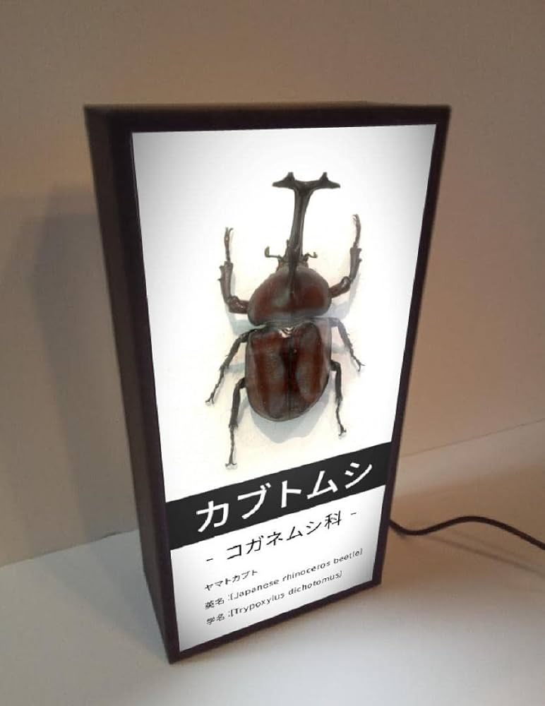 日本のコガネムシ科図鑑 3巻セット 51Jl8fMmJyL._UF350,350_QL50_.jpg