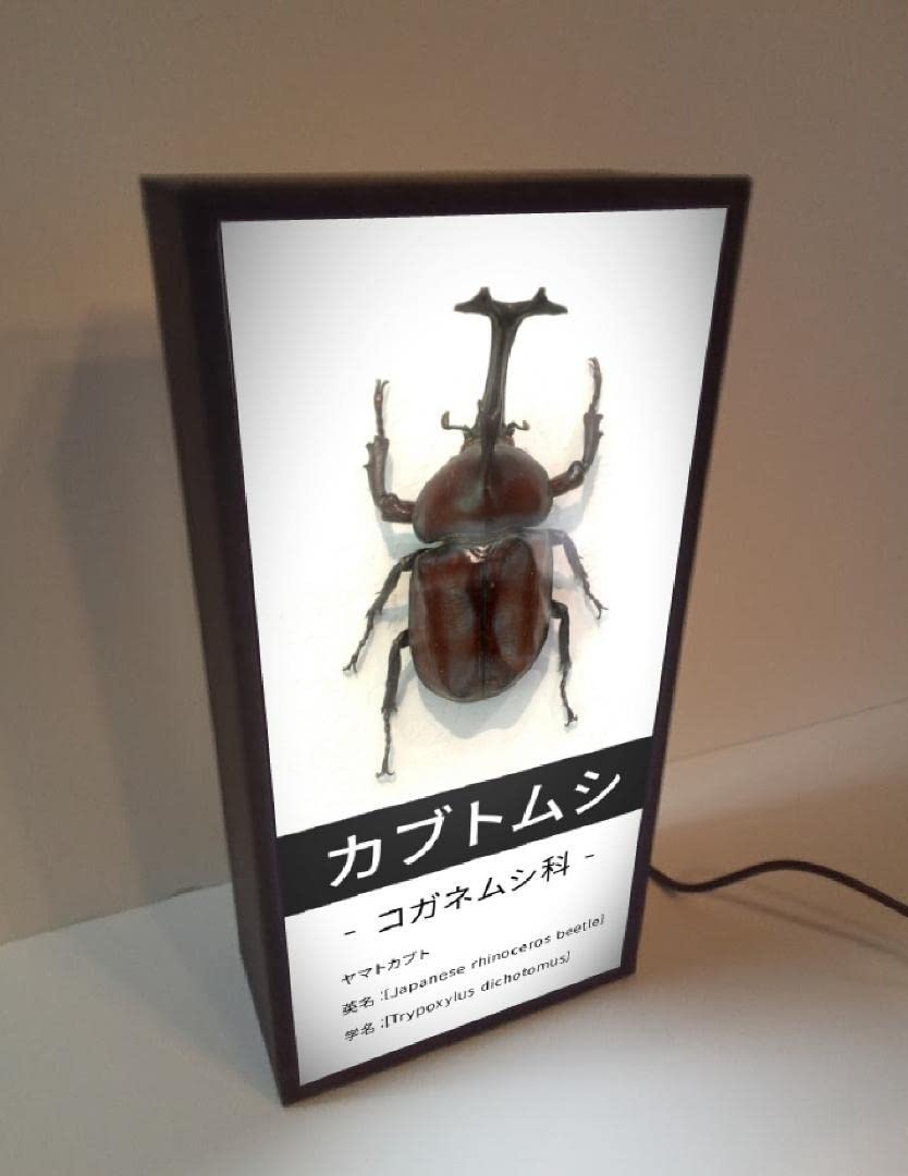 日本のコガネムシ科図鑑 3巻セット 日本のコガネムシ科図鑑 3巻セット 本