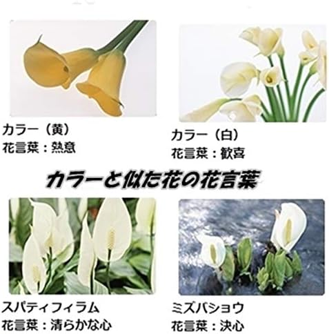 Amazon 美々杏 鉢植えフェイクフラワー 人工観葉植物 カラー 橙 人工観葉植物 オンライン通販 Amazon 美々杏 鉢植えフェイクフラワー 人工観葉植物 カラー 橙 人工観葉植物 オンライン通販