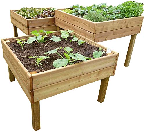 Cihb Potager surélevé en Douglas 1 mètre...