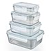 GOURMETmaxx Jeu de 4 récipients Alimentaires en Verre y Compris Le Couvercle | Fermeture à 4 clics et Joint en Silicone | Parfaite préservation de l'arôme des Aliments