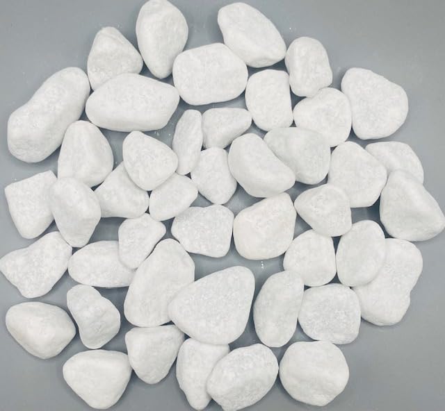 HCommerce Schneeweiß Dekosteine I Marmorkies I Carrara Kies I Körnung 15-25mm I 1Kg