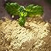 Zercumm Dehydrated Peppermint Powder Accessories Dehydrated Vegetable Powder Drying Wholesale (500)