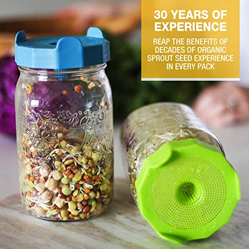 Mumm's Sprouting Seeds - Starter Sample Pack - 625 GR - Organic Sprout Seed Kit - Broccoli, Radish, Alfalfa, Mung Bean - Thumbnail 4