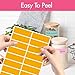 512 Color Coding Labels, 16 Colors Blank Stickers Mini Rectangular Labels 3 x 1”, Colored Assorted Sticker for Marking Projects, Boxes, Jars, Storage Containers, Files