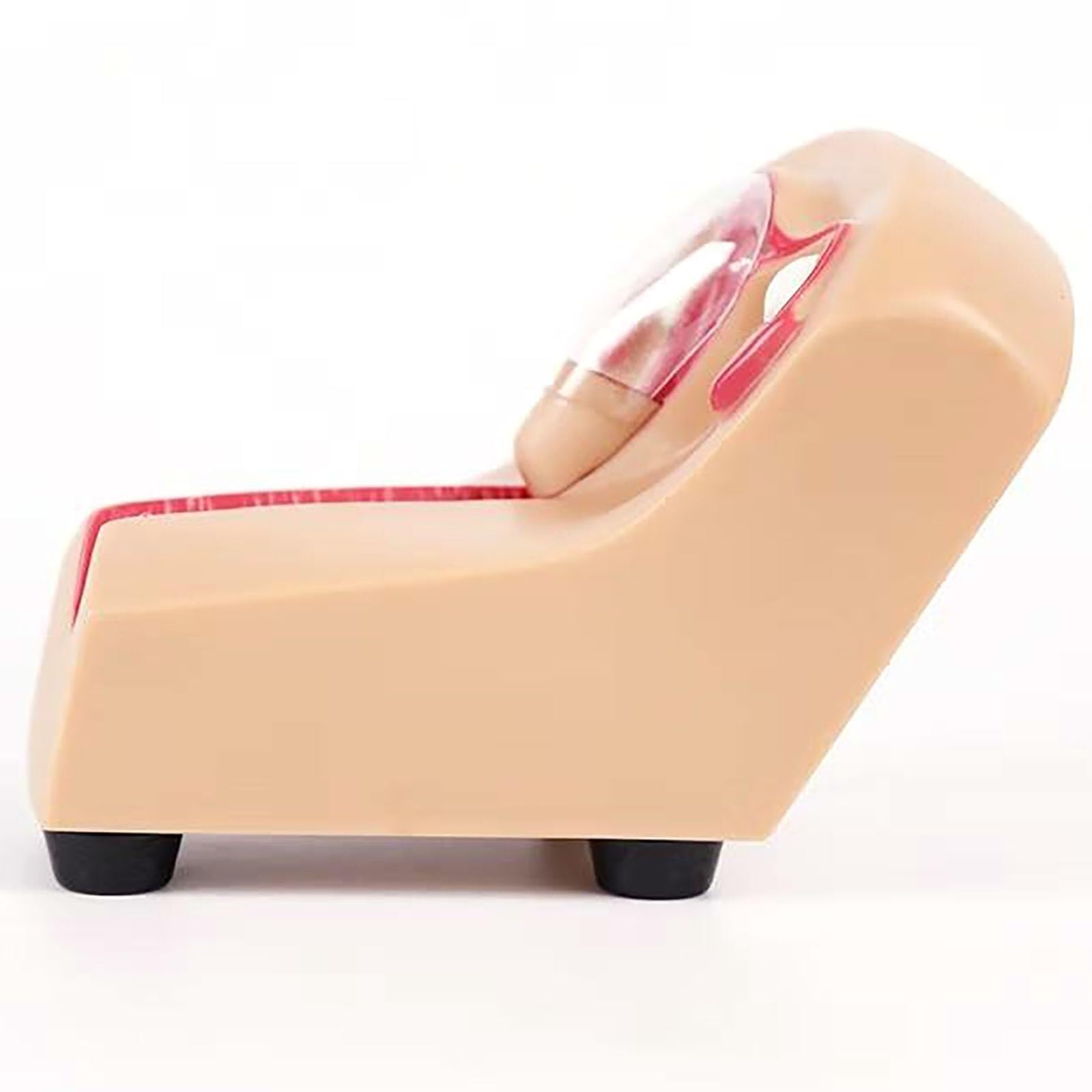 Intrauterine Gerät Trainingsmodell, transparentes PVC-Uterus- und Eierstockmodell, Einsetzen und Entfernen von Intrauterinpessar