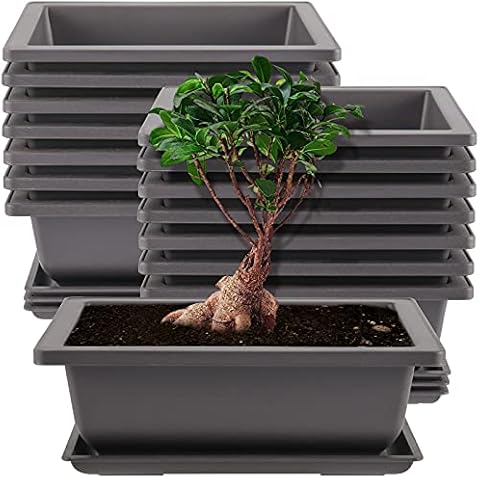 SHEUTSAN 15 Pack Bonsai Tree Pots with Trays Cover