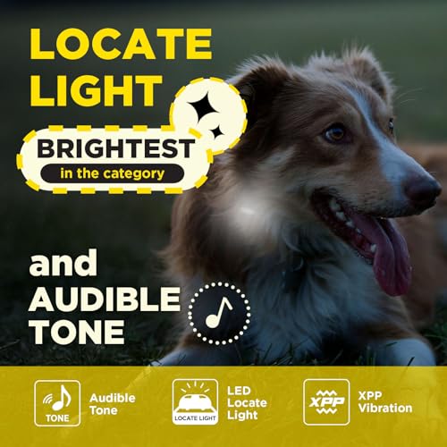 Image of Dogtra 200iQ Remote Training E Collar - 100 Levels, Tone, Vibration, 1 /2 Mile Range - Compact, Waterproof, One-Handed Control for Dogs 10 lbs+ - Lightweight Design for Daily Training - Cafe Swirl