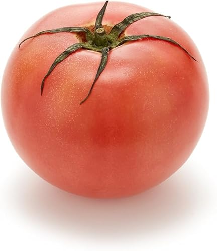 [①] Ɩp Y g}g LTCY 5