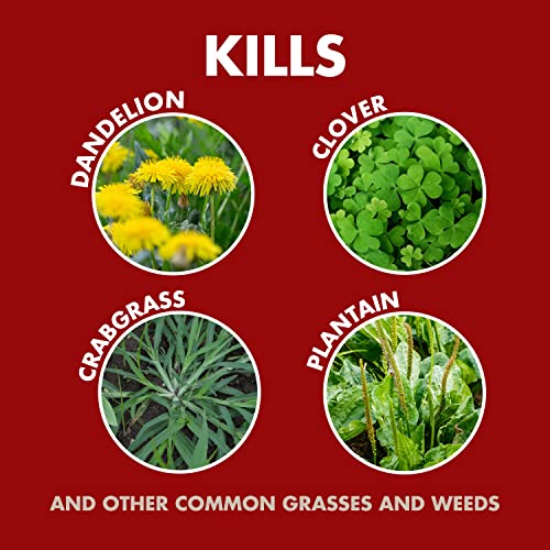 Image of Spectracide Weed And Grass Killer Concentrate 1 Gallon, Use On Patios, Walkways And Driveways
