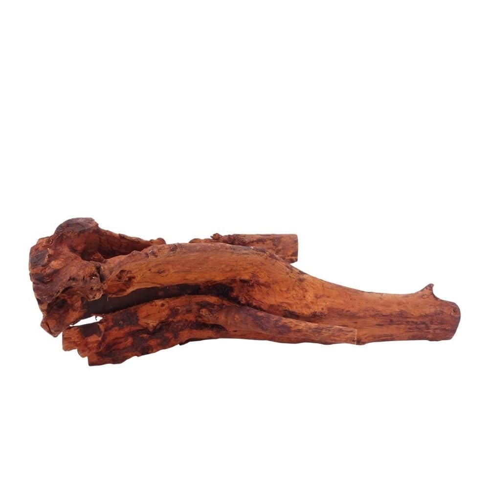 AquaOne Aquarium Wurzel L Jungle Wood Nr.4520 Aquarium Wurzel Holz Deko Aquascaping Dekoration Landschaft Moos Natur Echtholz