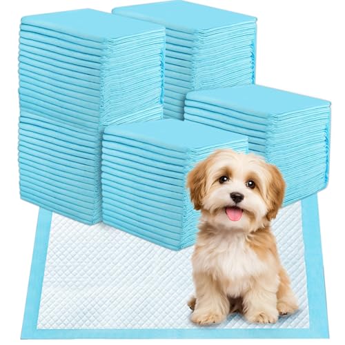 Jukibole Hunde Trainingspads 60x60cm – 100 Stück Einweg Unterlagen, 6-lagige PIPI Matten für Welpen & Hunde, Ultra Saugfähig, Auslaufsicher & Geruchsneutral, Blau, Baby Einweg Wickelunterlagen