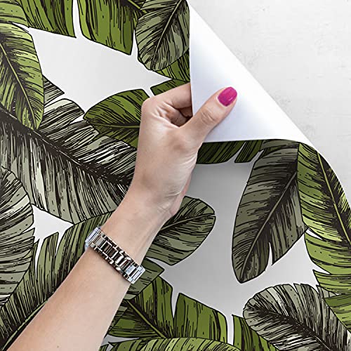 Fotomural hojas de platano para tapar imperfecciones de pared papel autoadhesivo selva 4