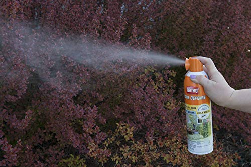 Image of Ortho Home Defense Backyard Mosquito and Bug Killer Area Fogger 16 oz. For flies, horse flies, wasps, hornets, yellowjackets, mites, and stink bugs