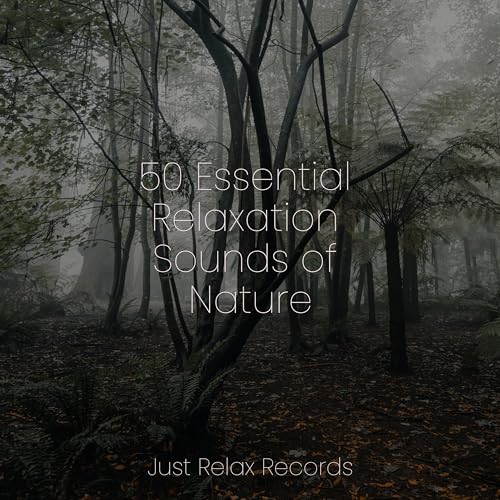Spiele 50 Essential Relaxation Sounds of Nature von ASMR HD, Meditation ...