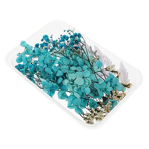 Kit de Flores Secas para Manualidades 1 set miniatura 1