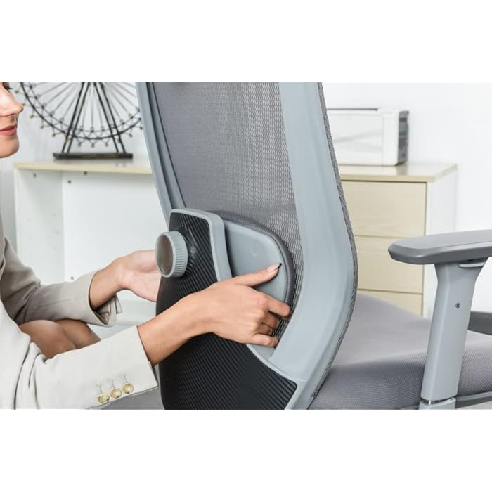 Buy LEBBAGE Ergonomic Office Chair, Computer Desk Chair with Adjustable Sponge Lumbar Support