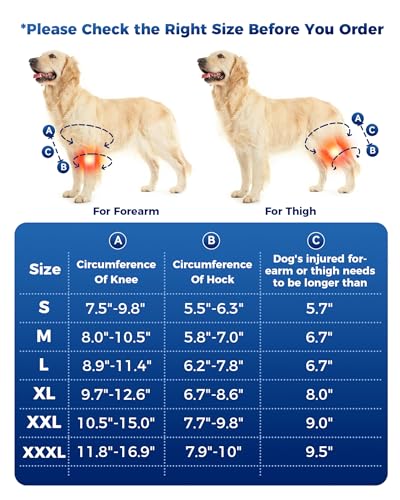 Image of Dog Knee Brace, Dog ACL Brace for Front Torn and Back Hind Rear Legs ACL Tear, Dog Hip Knee Leg Brace for Hip Dysplasia, Dog Arthritis, Luxating Patella, Comfortable,
