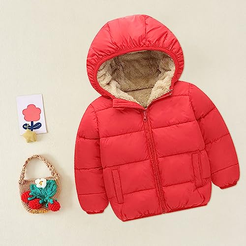 sfdgfhyf Girls and Toddler's Winter Coat Fleece Lined Hooded Quilted Bubble Puffer Jacket Kids Toddler Girls2