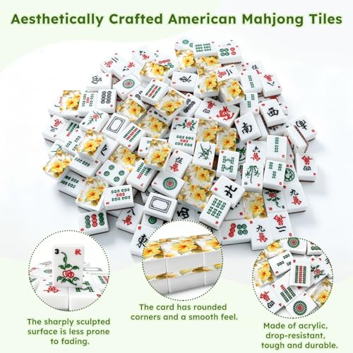Set de fichas American Mahjong 166 piezas con bolsa y dados miniatura 6