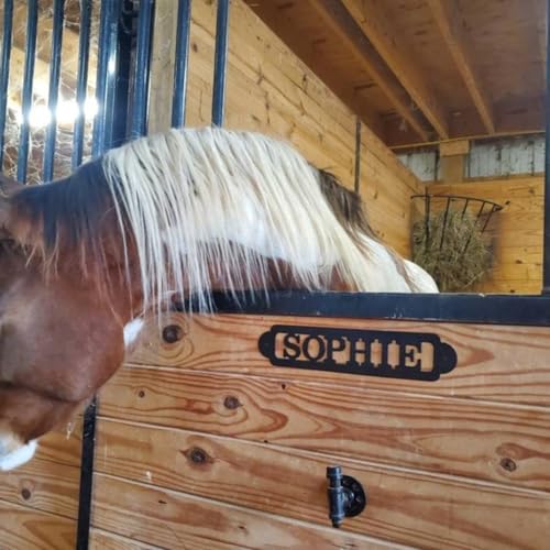 Personalisiertes Metallschild für Pferde, Stall, Namensschild für Pferde, Reiten, Scheunendekoration, Ranch-Dekoration, personalisiertes Scheunenschild, stabiles Türschild, personalisiertes Geschenk