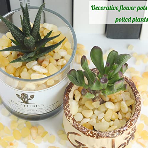Image of 1lb Yellow Jade Aquarium Gravel Rocks Natural Tumbled Healing Crystal Chips Bulk Gemstones Crushed Stones for Fountain Vase Filler Planters Decorative Fish Tank Potted Reiki Energy Balancing
