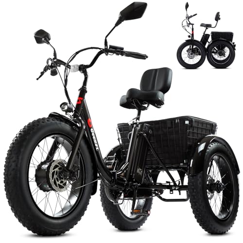 Geemax Electric Tricycle for Adults, 20