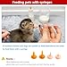 YeulYuuri Pet Feeding Bottle and Syringe Set for Puppies and Kittens(2 Bottles,6 Syringes,10 Nipples,1 Storage Measuring Cup)
