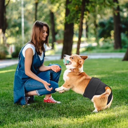 Aomig Hundewindeln Hündinnen 3Pcs Waschbare Auslaufsichere Läufigkeitshose Hündinnen Wiederverwendbare Damenbinden Höschen für Weibliche Haustiere Hochsaugfähige Nkontinenz Hundewindeln (Schwarz,XL)