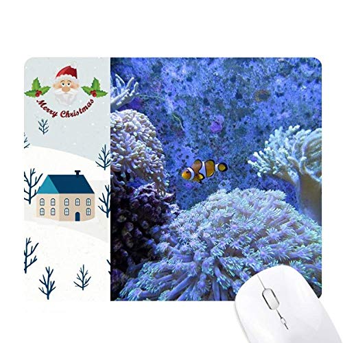 CmTSN}m~RȊwʐ^ T^N[XƉS̃}EXpbh