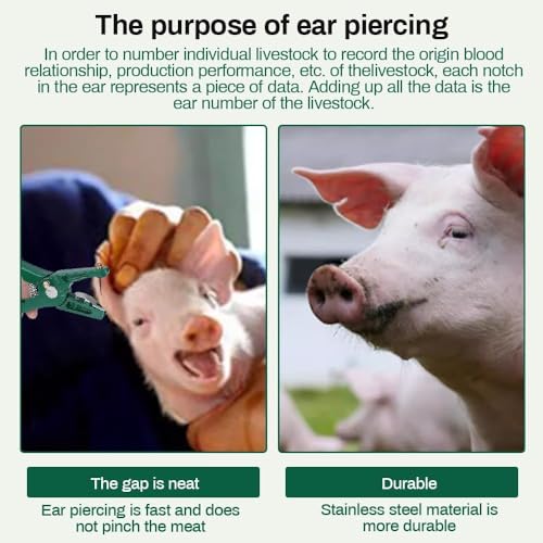 Foto von DEWIN Ohrmarkenzange, Tier Ohrmarke Zangen, Vieh-Ohrmarken mit Ersatznadel zum Installieren von Schweinen Rinder Schafe Tiere Ohrmarken