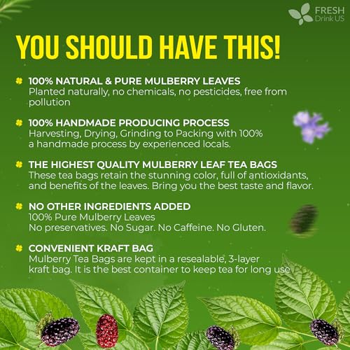Image of FreshDrinkUS Premium 75 Mulberry Leaf Tea Bags, 100% Natural & Pure. Loose Leaf Herbal Tea. Made with Natural Material Tea Bags. No Sugar, No Caffeine, No Gluten, Vegan
