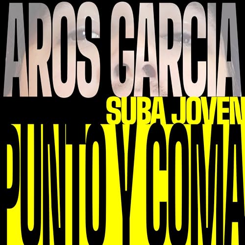  Punto y Coma