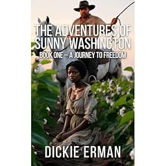 The Adventures of Sunny Washington Audiobook By Dickie Erman cover art