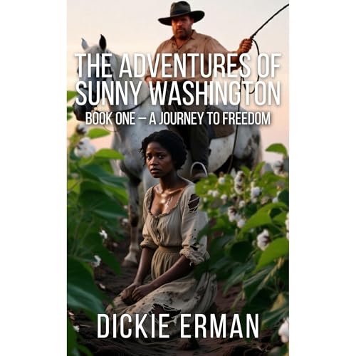 The Adventures of Sunny Washington Audiolibro Por Dickie Erman arte de portada