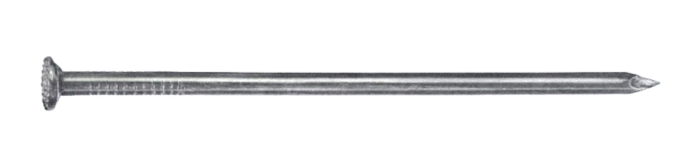 CONNEX B30052 - Clavo, 3.1 x 80 mm, 1.5 kg