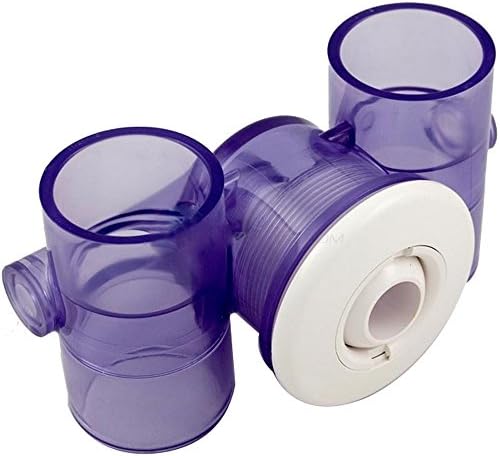 限定1株】 ブセファランドラ sp, モトレイアーナ 極紫個体 水上葉 限定