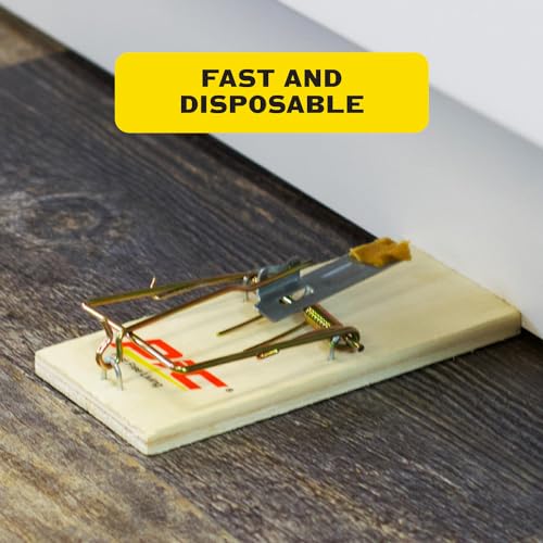 Image of PIC Wood Mouse Traps, 4 Count