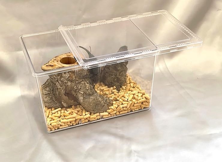 Amazon | スライド式飼育容器【DDA】クリアースライダー dda クワガタ