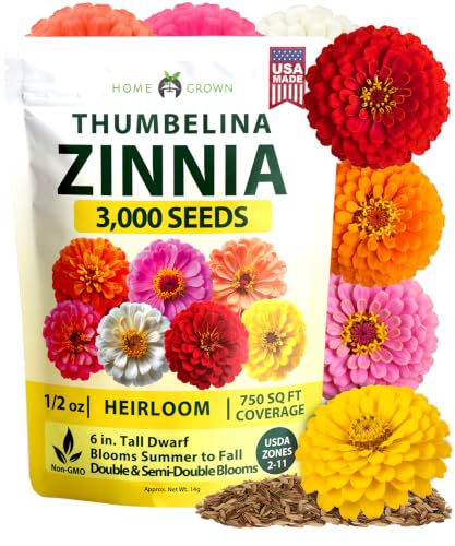 Image of HOME GROWN Zinnia Seeds for Planting Thumbelina 3,000 Seeds (14g - 1 /2oz) - Dwarf Zinnia Flower Seeds, Mixed Colors, Easy Flowers to Plant Outside, USDA Zones 3-10 (Zinnia Elegans)