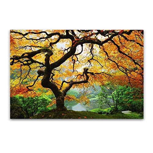 Startonight Glass Wall Art Acrylic Decor Maple Tree, Nature Usa Design For Home Decor Dual View Surprise Artwork Modern Framed Ready To Hang Wall Art 23.62 X 35.43 Inch #TOP21