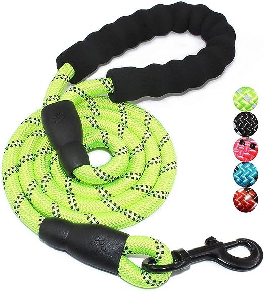 Premium Quality 5ft Dog Leash for Large, Medium and Breeds - Strong, Sturdy, and Comfortable Grip - Ideal for Training, Walking, and Running (Grass Green)